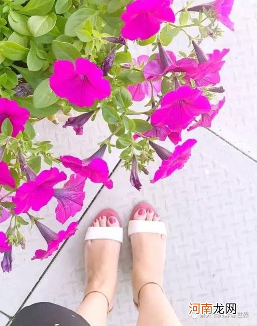今年的爆款女鞋，适合夏天穿的爆款鞋？