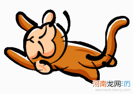 本命年属猴的运势 属猴一生运势如何