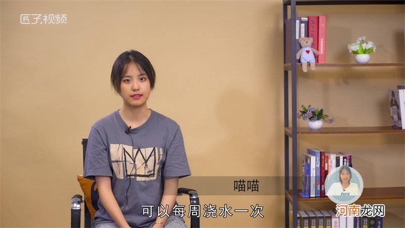 发财树多久浇一次水