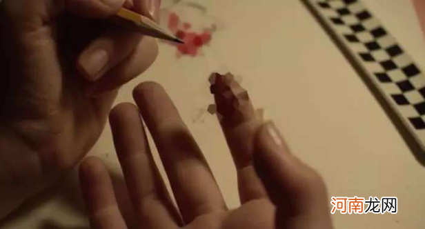 童书中动物“异性相吸”引争议,无菌式教育,是父母最大的罪恶