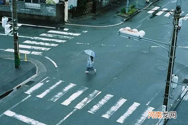 童书中动物“异性相吸”引争议,无菌式教育,是父母最大的罪恶