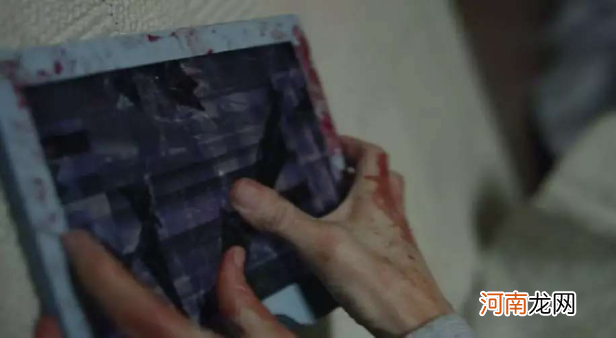 童书中动物“异性相吸”引争议,无菌式教育,是父母最大的罪恶