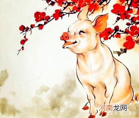 属猪10月运势 属猪的今年十月份运势