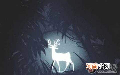 解梦沟 解梦沟里捞鱼