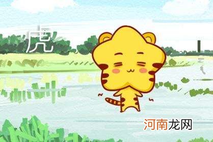 生肖虎今日运势 生肖虎今日运势财运