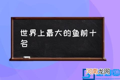 世界上最大的鱼前十名,世界十大最强大的鱼排名？