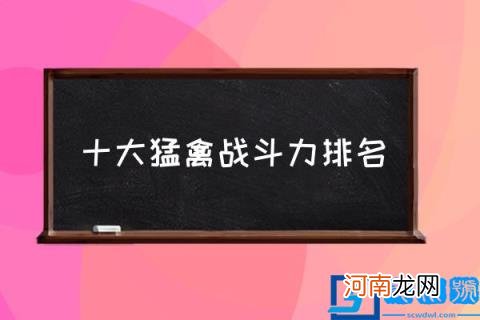 十大猛禽战斗力排名,世界十大鹰王？