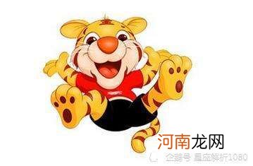 86年虎2019年运势 19862020属虎人全年运势