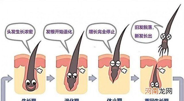 怎样让头发长得快又密 如何让头发长得更快