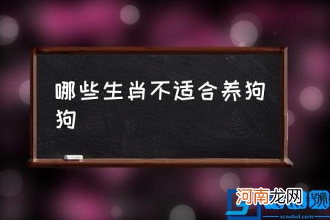 哪些生肖不适合养狗狗,十二生肖都忌讳养什么宠物？