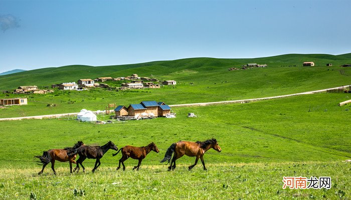 新疆北屯属于哪个市
