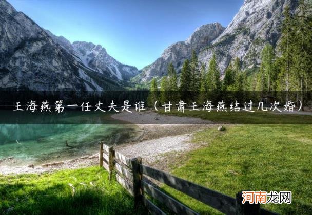 甘肃王海燕结过几次婚 王海燕第一任丈夫是谁