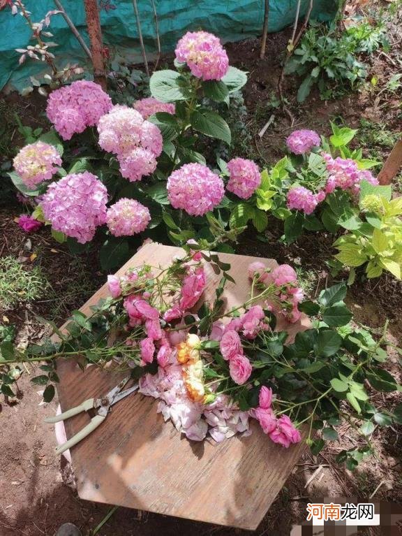 小米手机品控不好吗 小米手机怎么样质量好么