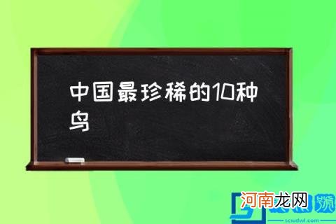 中国最珍稀的10种鸟,中国十大名鸟排名?