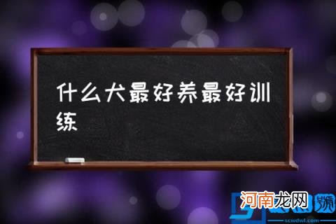 什么犬最好养最好训练,容易驯养的狗狗？