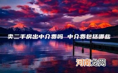 盛帮股份有限公司好不好？上市进程怎么样