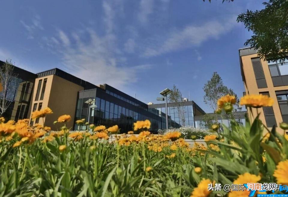 2022北京国际学校有哪些 北京私立小学排名及收费标准