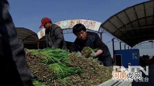 致富经创业第一步网 致富经创业项目 cctv