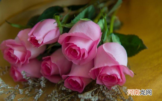 端午节粽子简笔画教程 粽子怎么画简笔画彩色