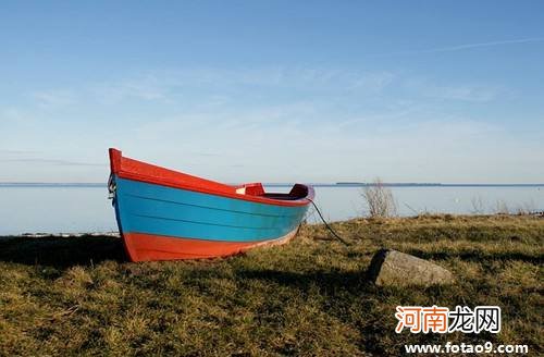 解梦卖菜 梦见卖菜?