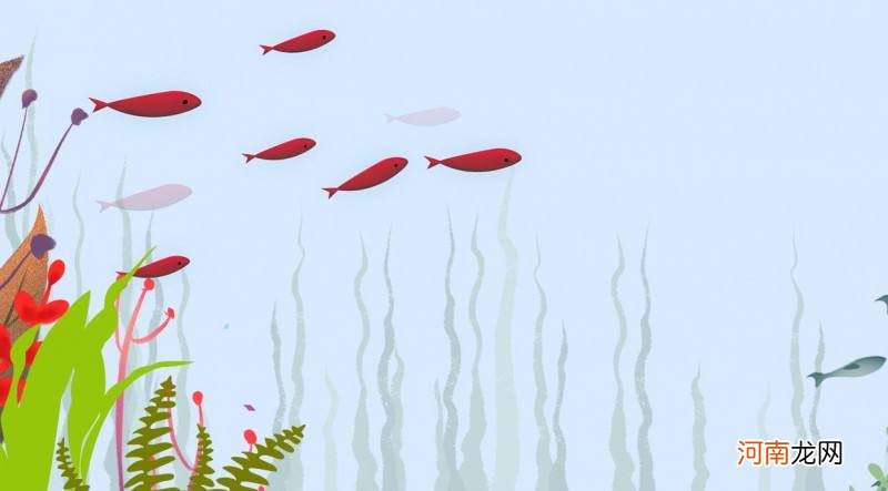 周公解梦好多鱼 周公解梦好多鱼在水中
