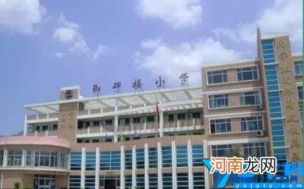 泰安小学十大排行榜 泰安最新小学排行榜TOP.10