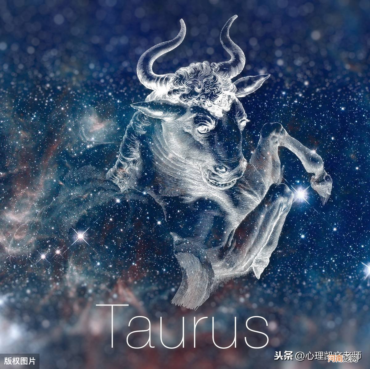 星座金牛座 星座金牛座女