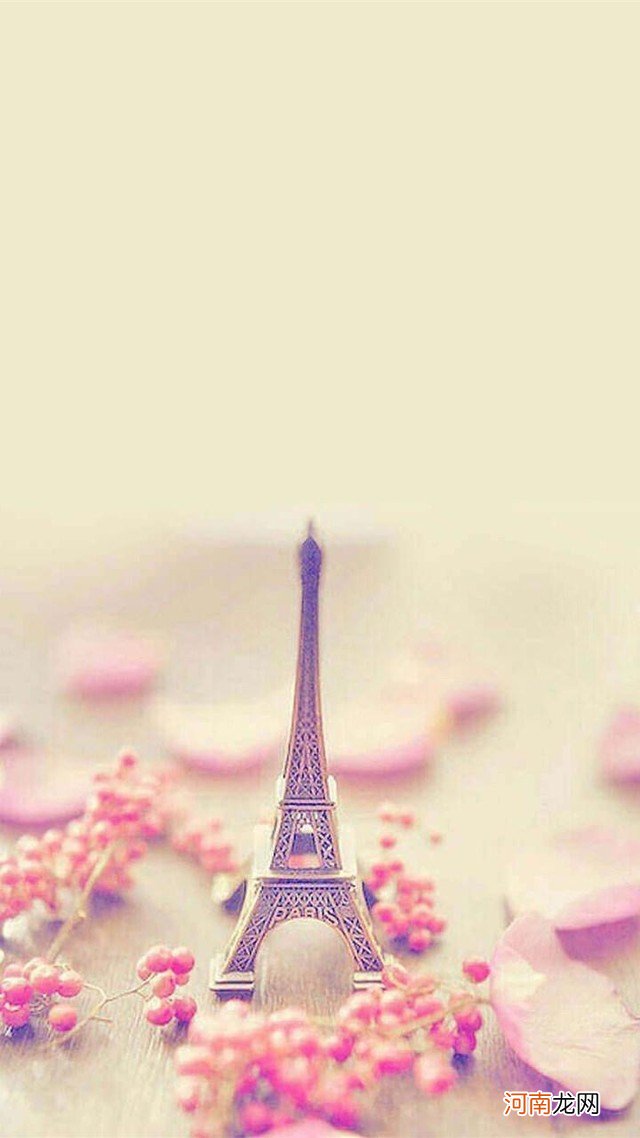 埃菲尔铁塔图片欣赏 巴黎铁塔唯美图片