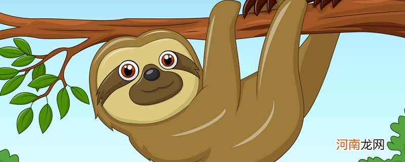 树獭的特性 树獭的特性是什么