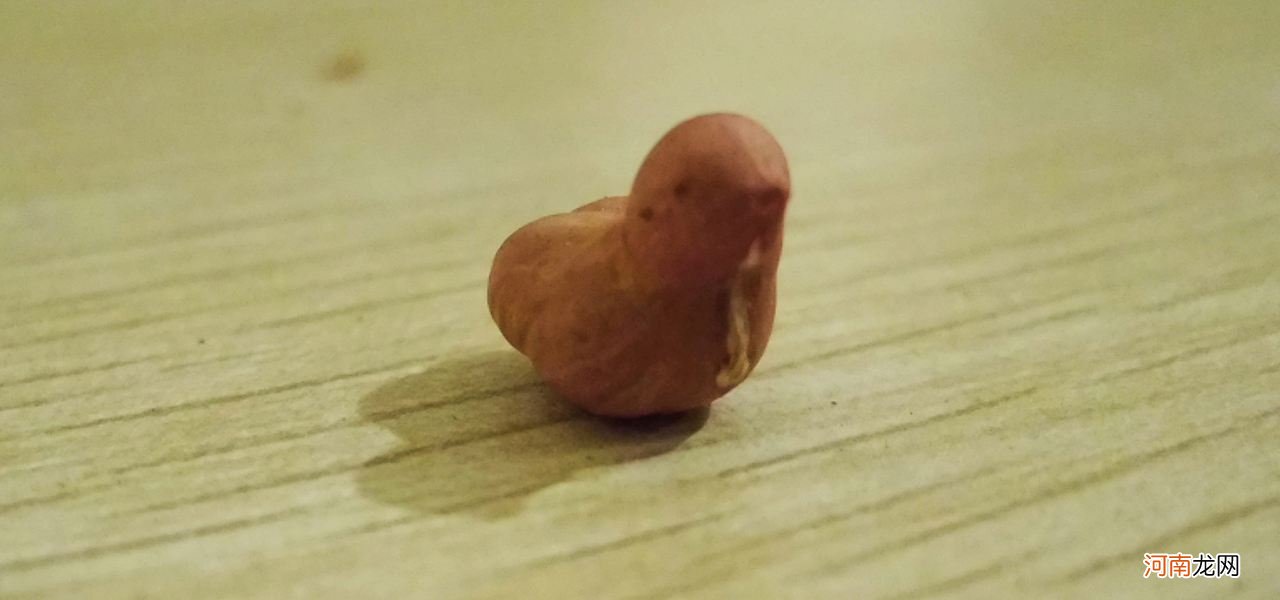 解梦花生米 梦里花生米