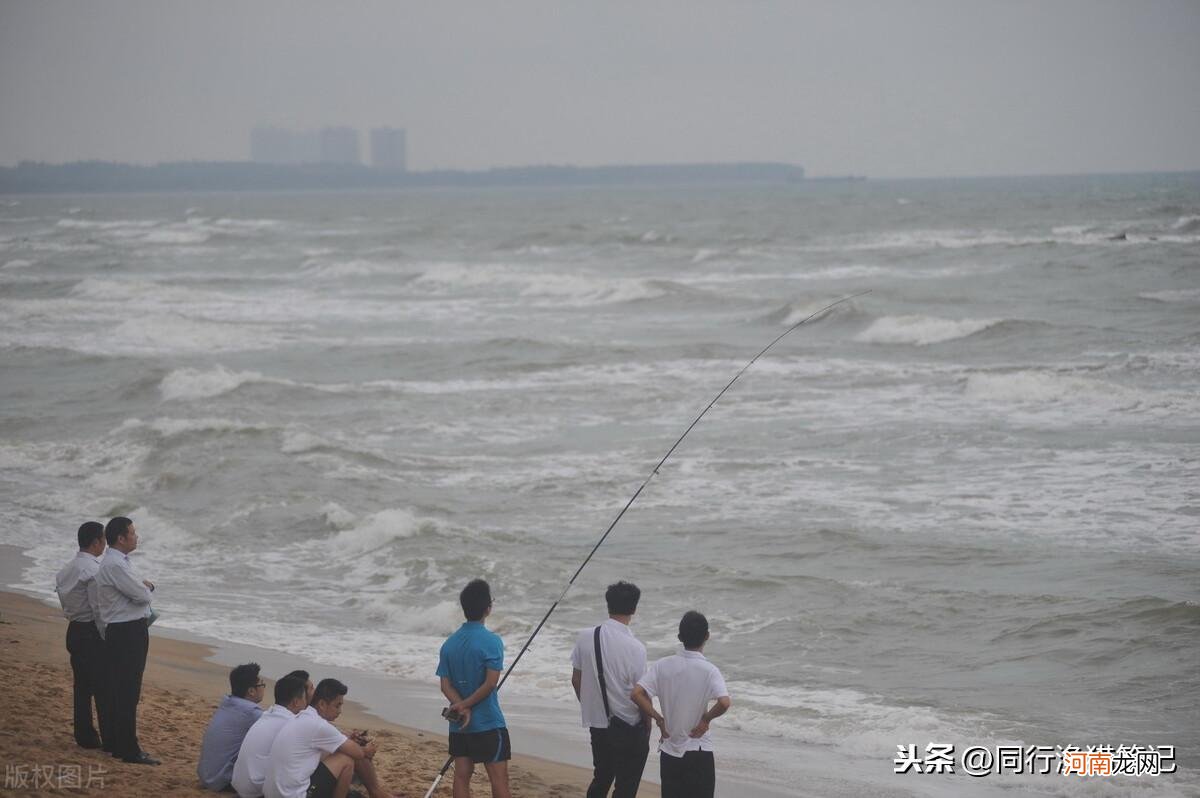 为什么刮西南风钓不到鱼 西南风为什么钓不到鱼