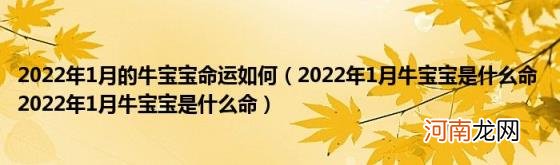 2022年1月牛宝宝是什么命2022年1月牛宝宝是什么命 2022年1月的牛宝宝命运如何