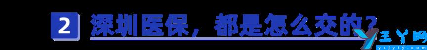 深圳社保怎么办理缴费 深圳医保一档二档三档区别及费用