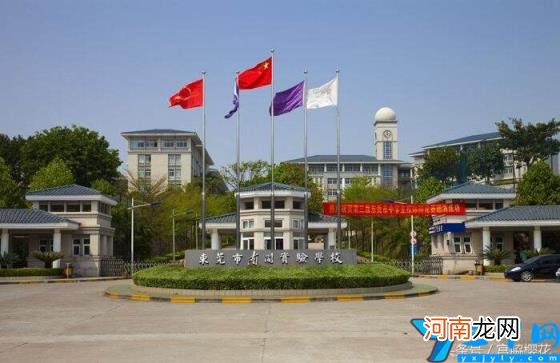 东莞比较好的私立小学有哪些 东莞排名前十的私立小学