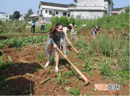 农村致富创业项目 农村致富创业好项目