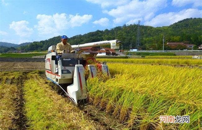 农村致富创业项目 农村致富创业好项目