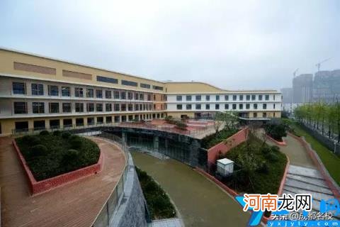 成都高新区好的小学前十名 成都高新区小学排名2022最新排名