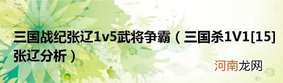 三国杀1V1[15]张辽分析 三国战纪张辽1v5武将争霸