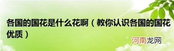 教你认识各国的国花优质 各国的国花是什么花啊