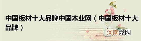 中国板材十大品牌 中国板材十大品牌中国木业网