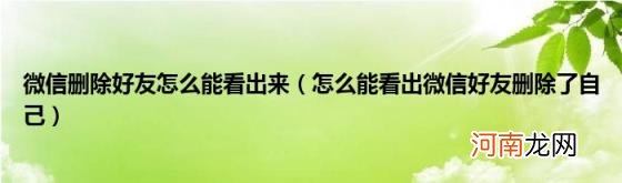 怎么能看出微信好友删除了自己 微信删除好友怎么能看出来