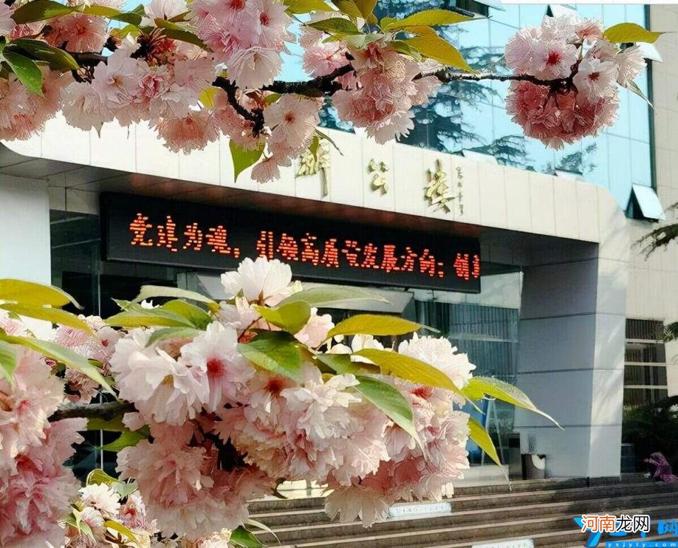 洛阳的一本大学有哪些 2022洛阳本科、专科高等学校排名