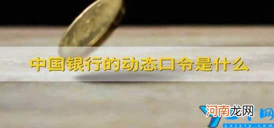 中国银行的动态口令是什么 中国银行动态口令有什么用