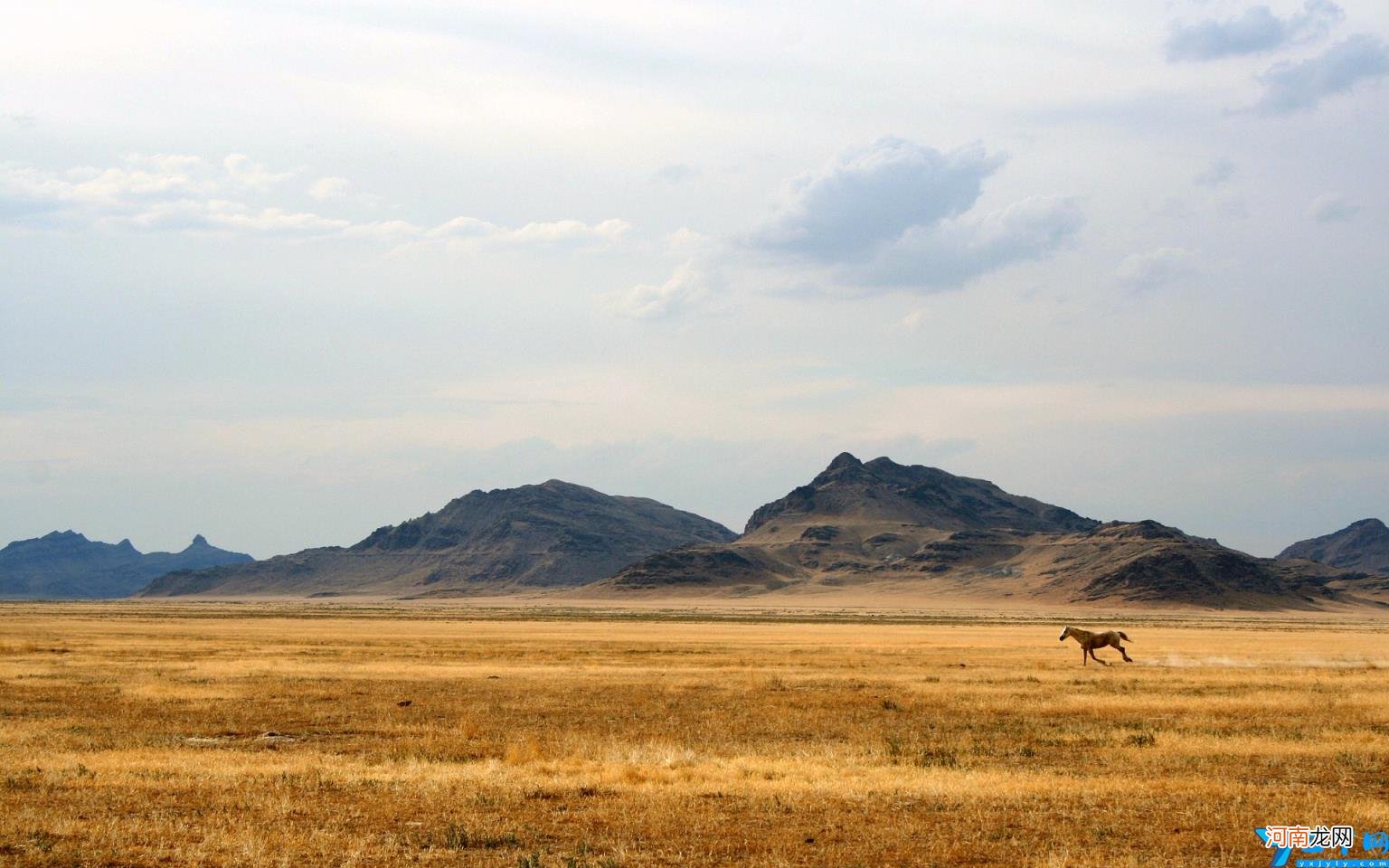 写给爸爸的话暖心到哭 最感人父爱短句