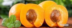 青梅和青杏有什么区别 怎么分辨青梅和青杏