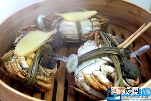 新手螃蟹的吃法剥法图解 大闸蟹怎么吃才正确