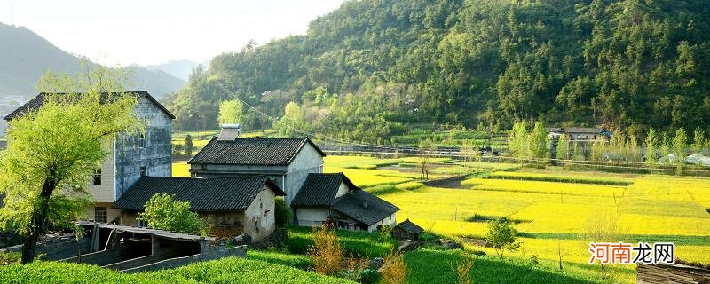 曹村网红地在哪里 曹村网红地在哪