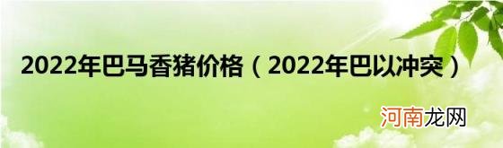 2022年巴以冲突 2022年巴马香猪价格