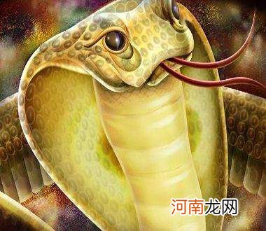 中年女人梦到蛇是什么意思 中年女人梦见蛇是什么意思