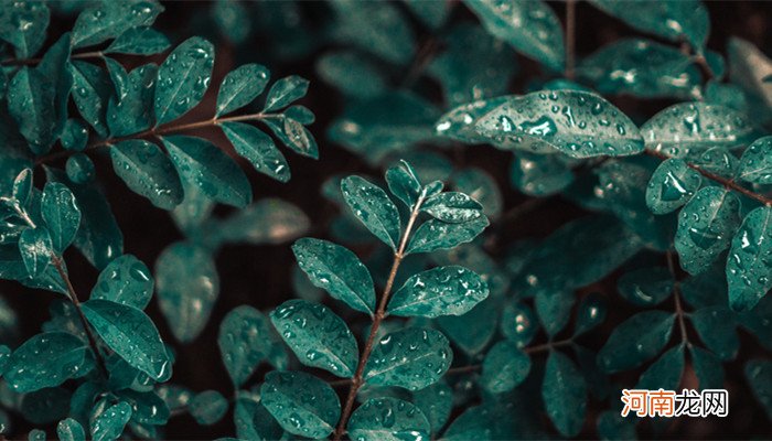 苏州梅雨季节是几月份 苏州梅雨季节在几月份